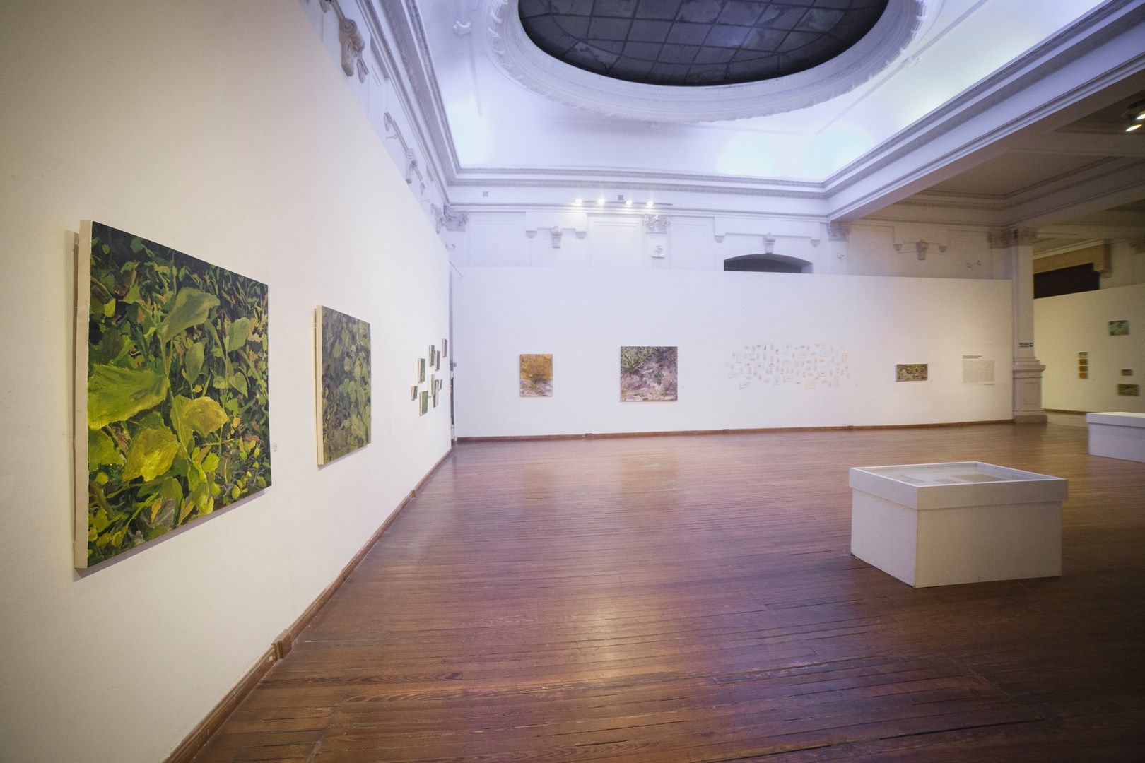 Detrás de la siesta, 2019