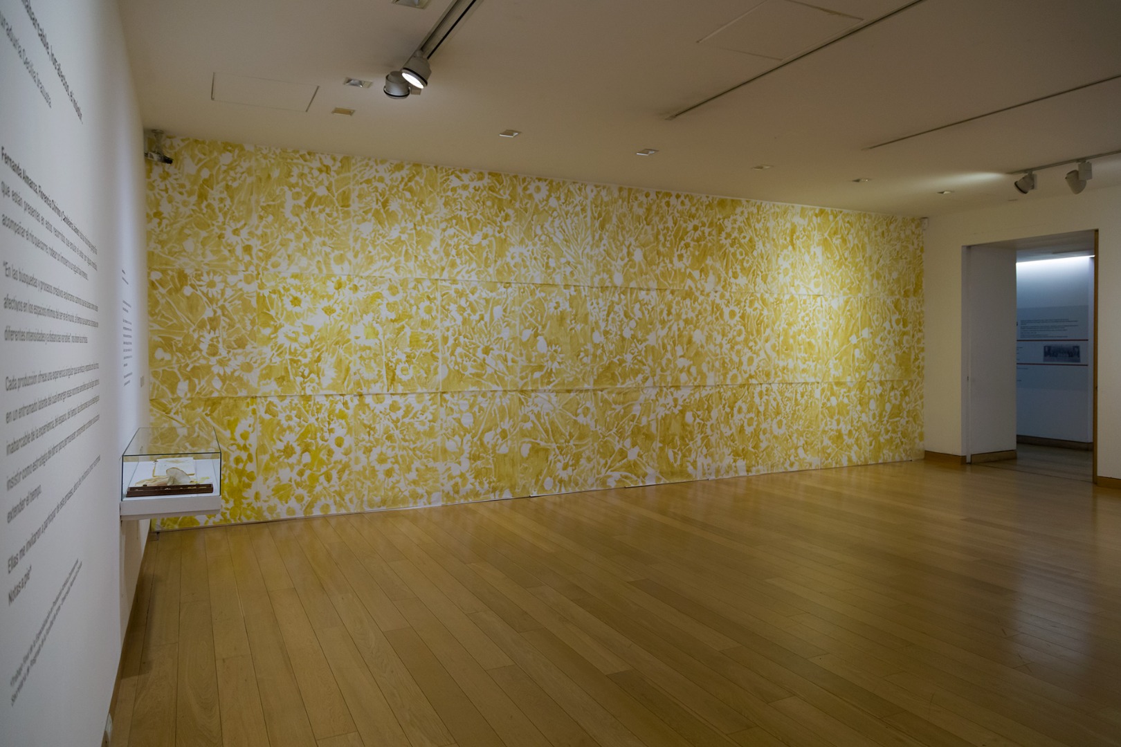 Las superficies donde las cosas suceden