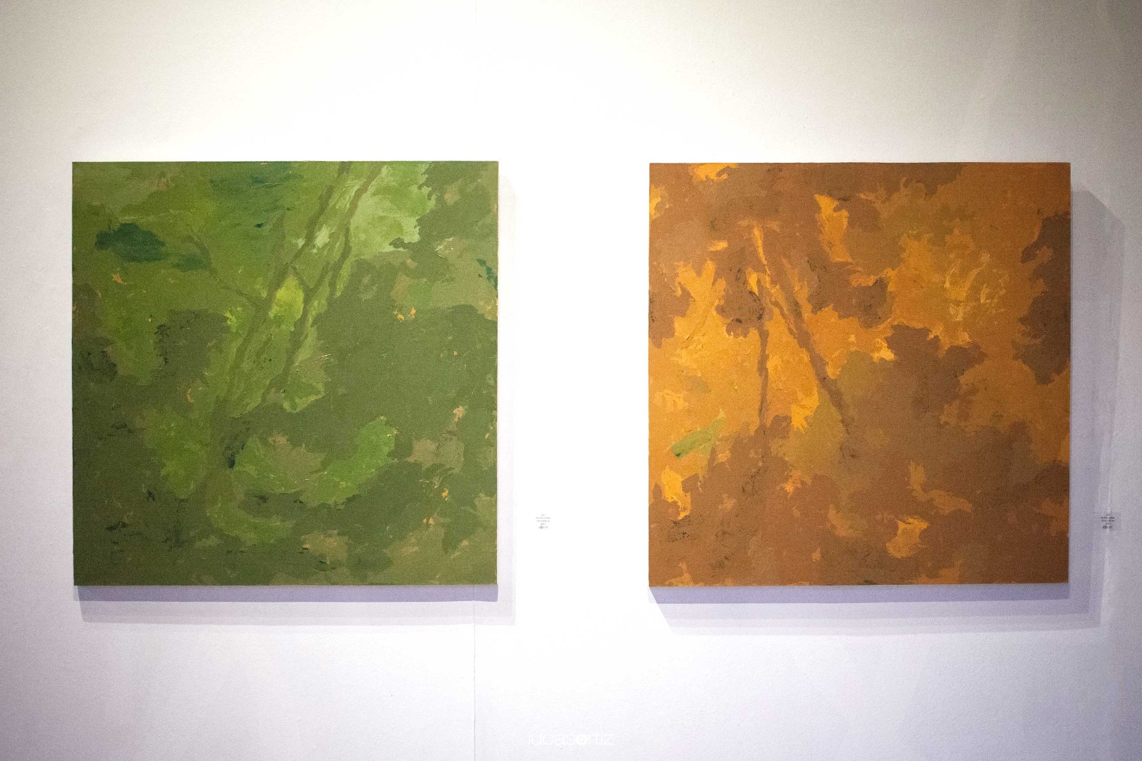 Detrás de la siesta