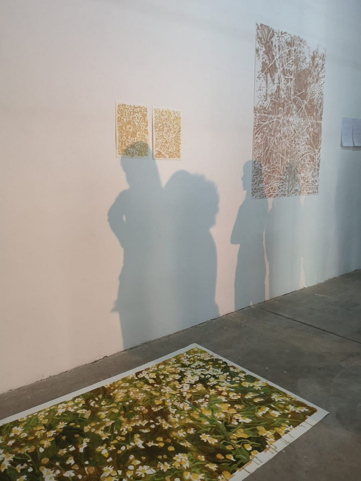 Presentación en CePIA, UNC