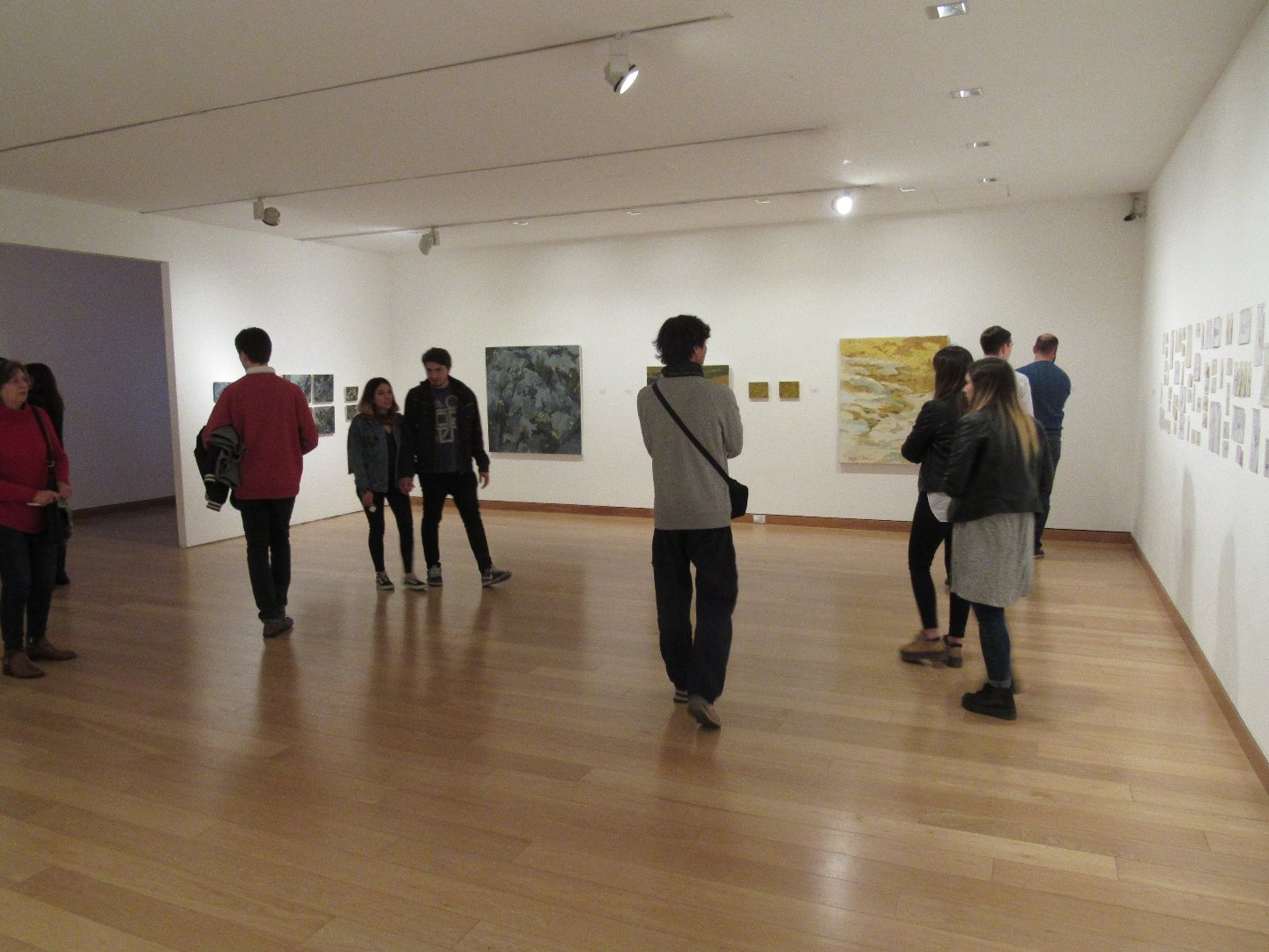 Museo de Bellas Artes Evita, Palacio Ferreyra