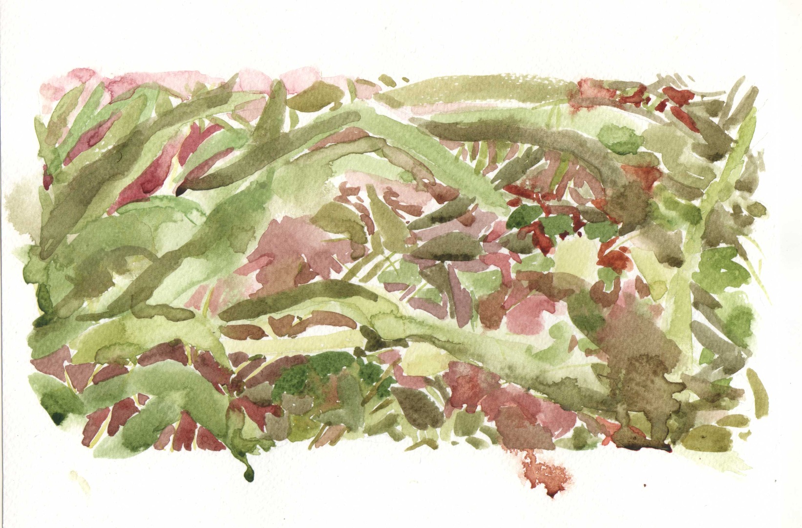 Aproximaciones en rojo